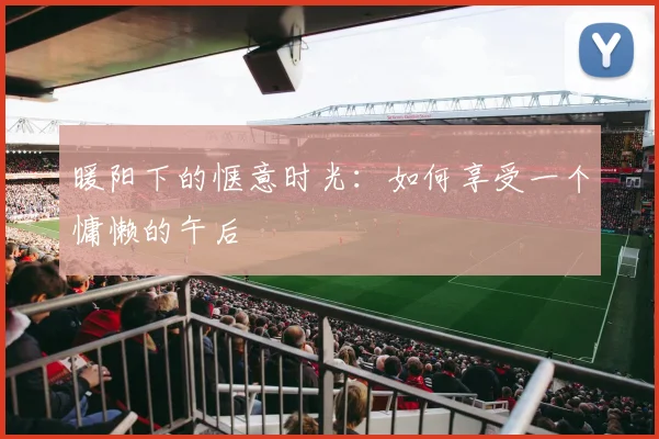 暖阳下的惬意时光:如何享受一个慵懒的午后