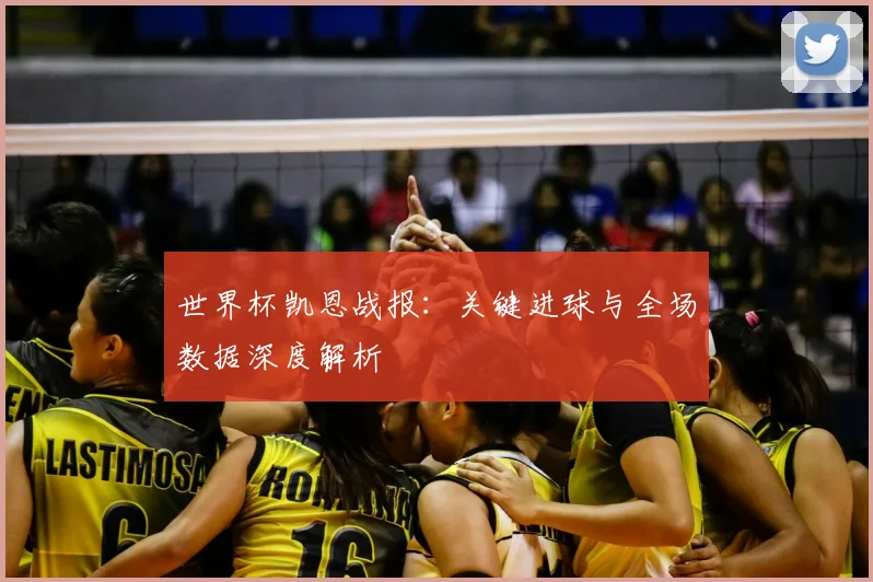 世界杯凯恩战报:关键进球与全场数据深度解析