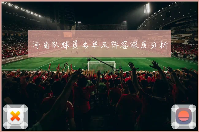 河南队球员名单及阵容深度分析