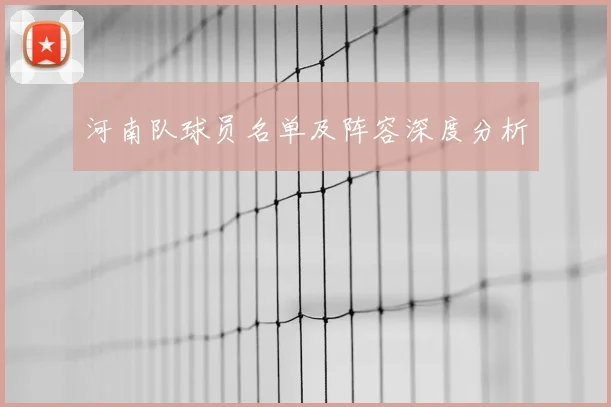 河南队球员名单及阵容深度分析