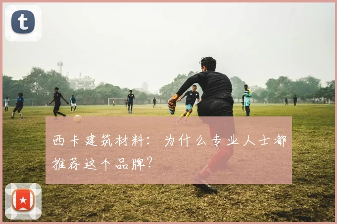 西卡建筑材料:为什么专业人士都推荐这个品牌?